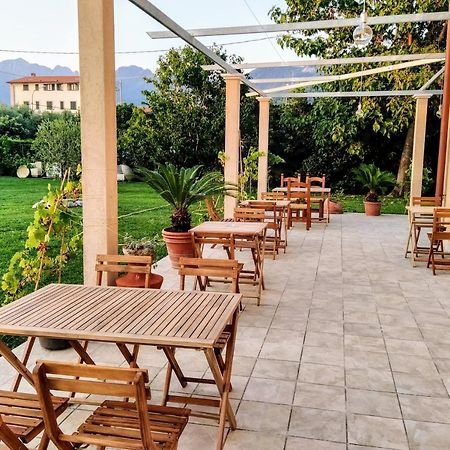 Agriturismo La Vite Maritata Pietrasanta Exteriér fotografie
